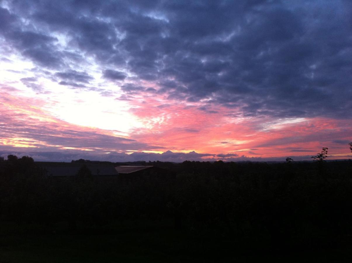 Hotel Orchard Luxe Glamping Pod Dungannon Esterno foto