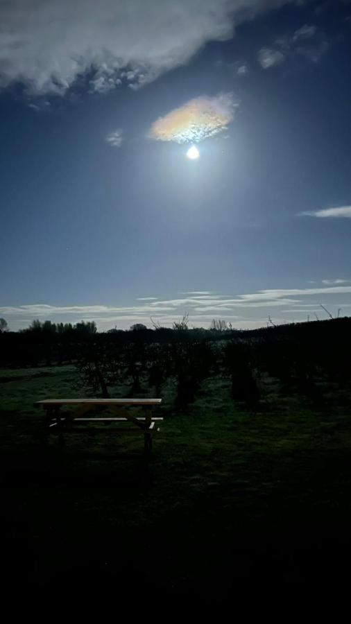 Hotel Orchard Luxe Glamping Pod Dungannon Esterno foto