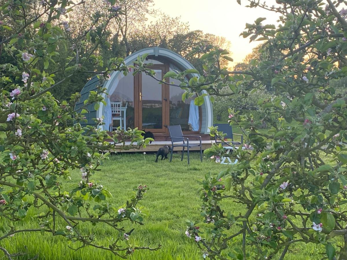 Hotel Orchard Luxe Glamping Pod Dungannon Esterno foto