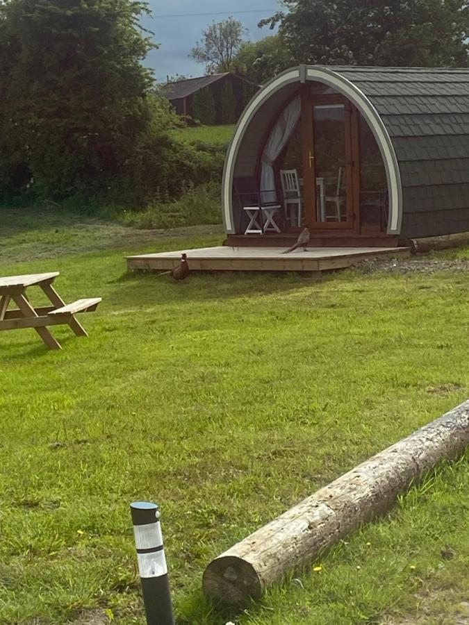 Hotel Orchard Luxe Glamping Pod Dungannon Esterno foto